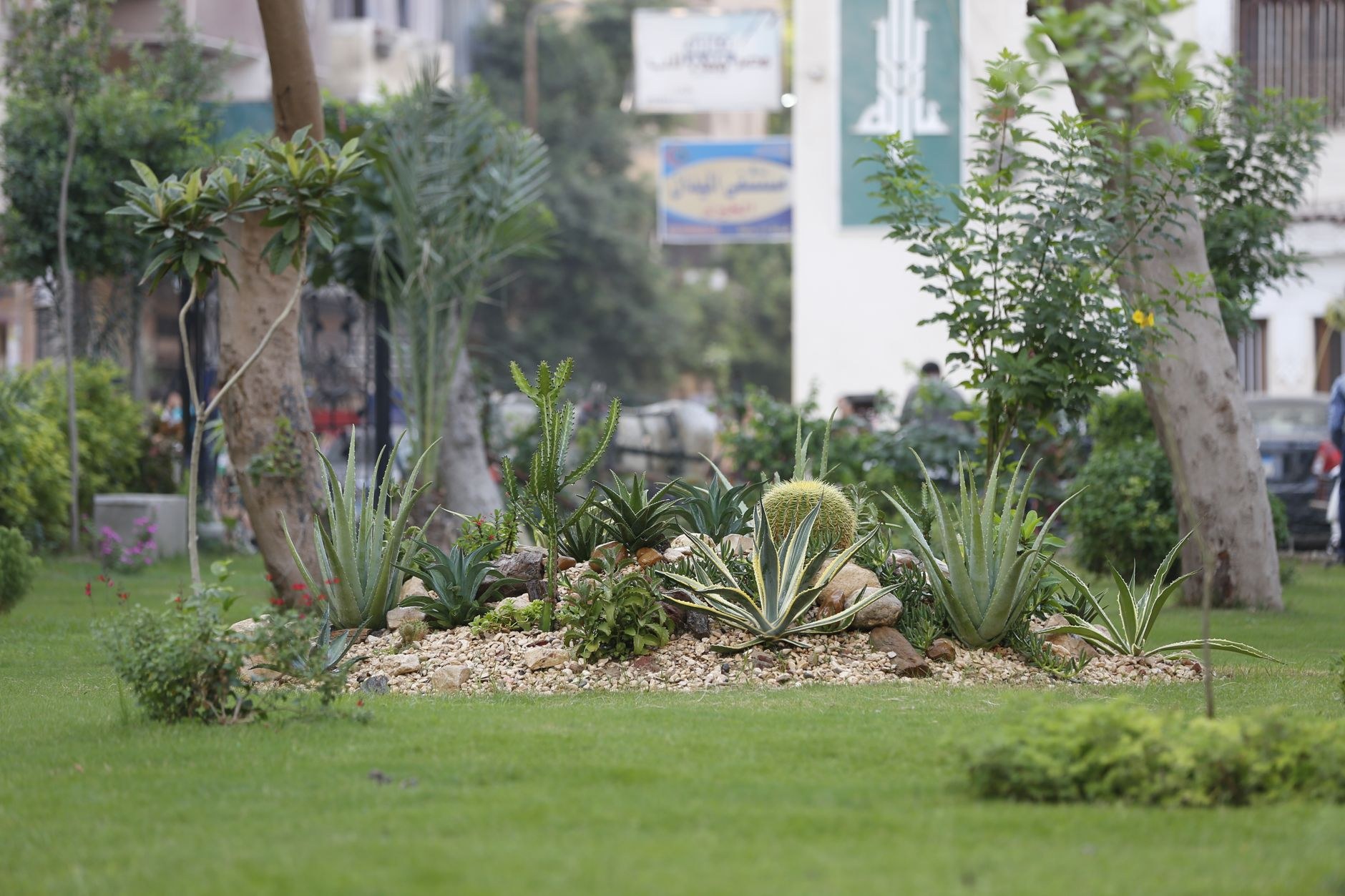 Completed garden landscape sample image